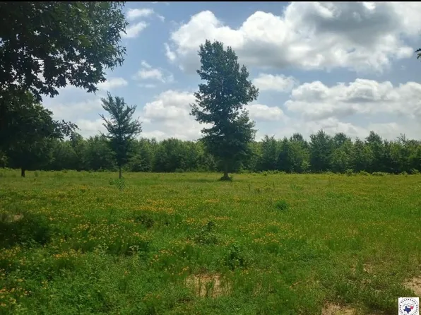 TRACT 12 Highway 990, Simms, TX 75574