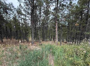 7 Valley Rd, Angel Fire, NM 87710