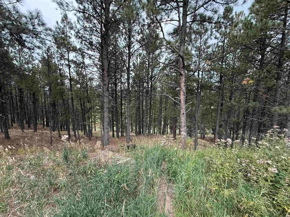 Lot 7 Valley Rd, Angel Fire, NM 87710