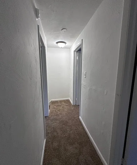 329 Maple Ave — Photo 8