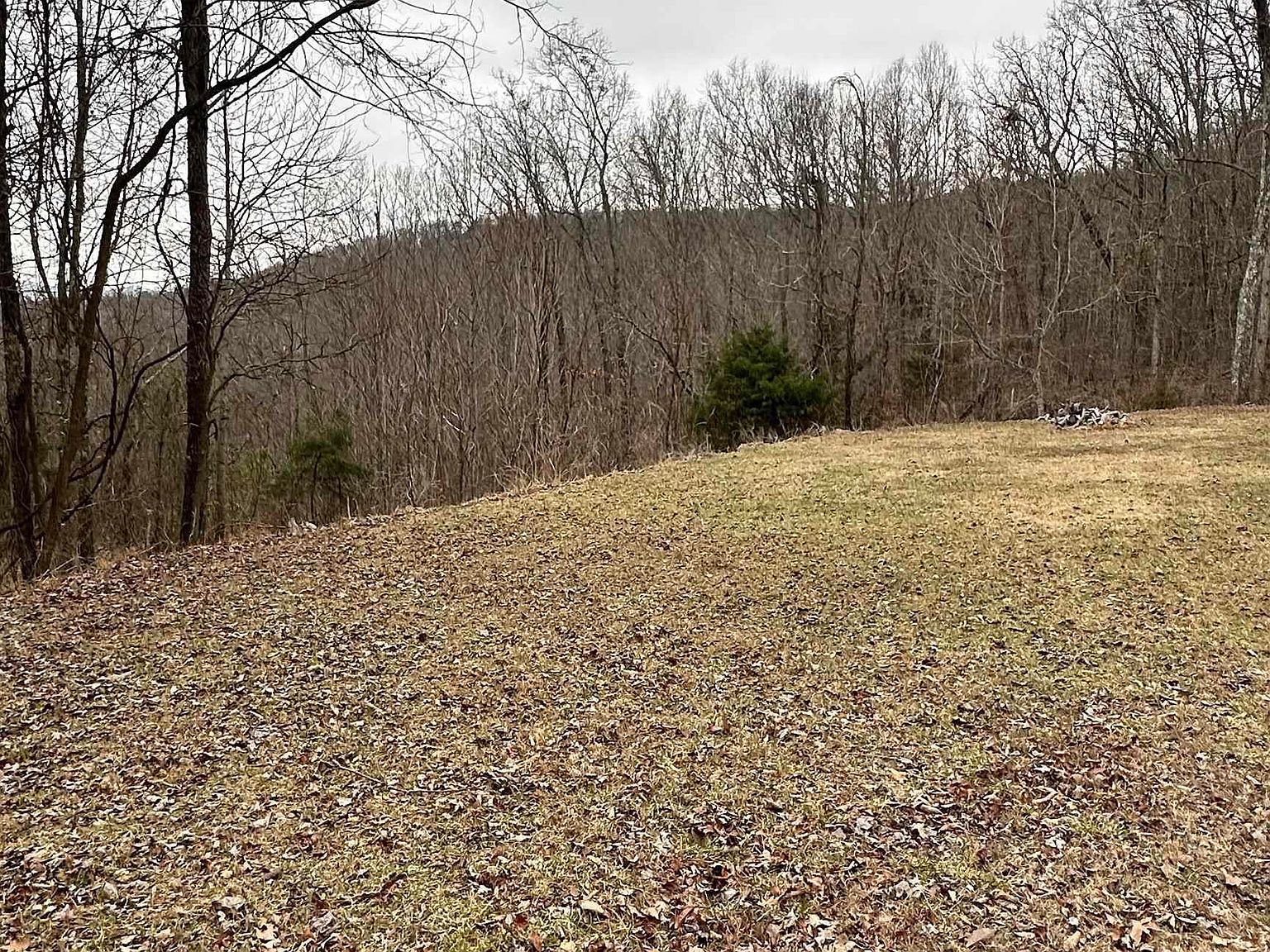 LOT 3 Blowing Cave Rd, Gurley, AL 35748 | Zillow