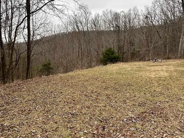 LOT 3 Blowing Cave Rd, Gurley, AL 35748