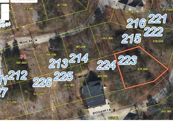 000 Iroquois Lane, Lampe, MO 65681