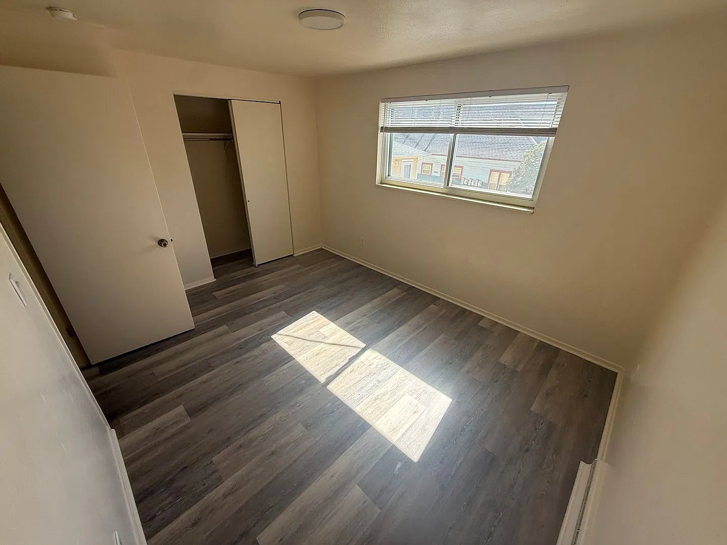 225Terry — Photo 3
