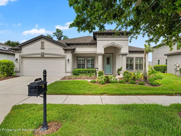 8320 Bluevine Sky Dr, Land O Lakes, FL 34637