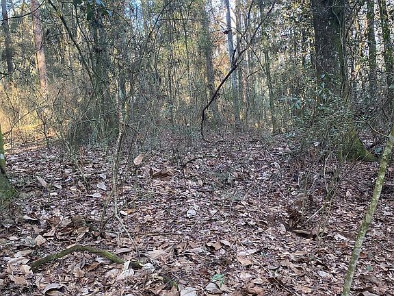 4th image of 415 Lessie Culpepper Rd