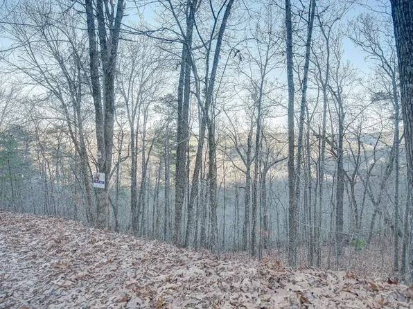 804 Lonsdale Ln, Ranger, GA 30734
