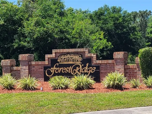 100 Wood Dove Ave, Tarpon Springs, FL 34689