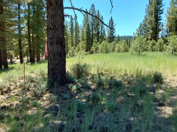 597 Deer Trl #1, Portola, CA 96122