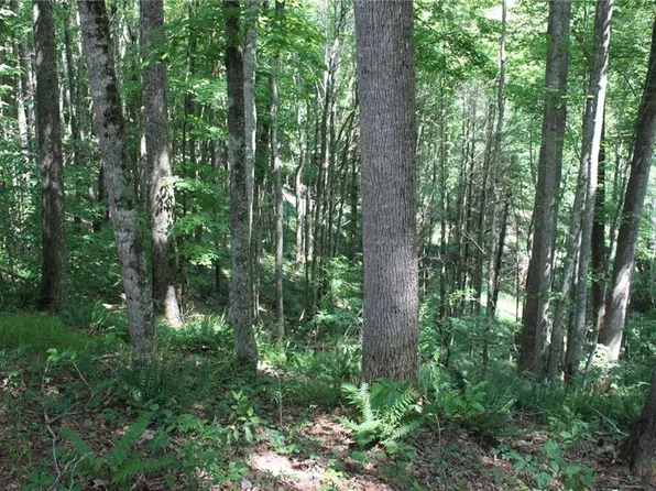 Glenmora Turkey Creek Rd, Ville Platte, LA 70586