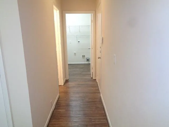 2831 Feather Green Trl — Photo 27