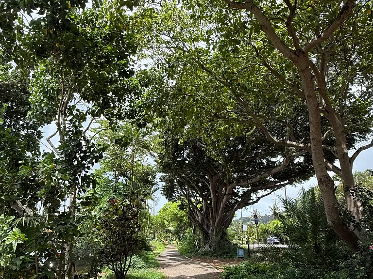 59-238 Kamehameha Hwy — Photo 11