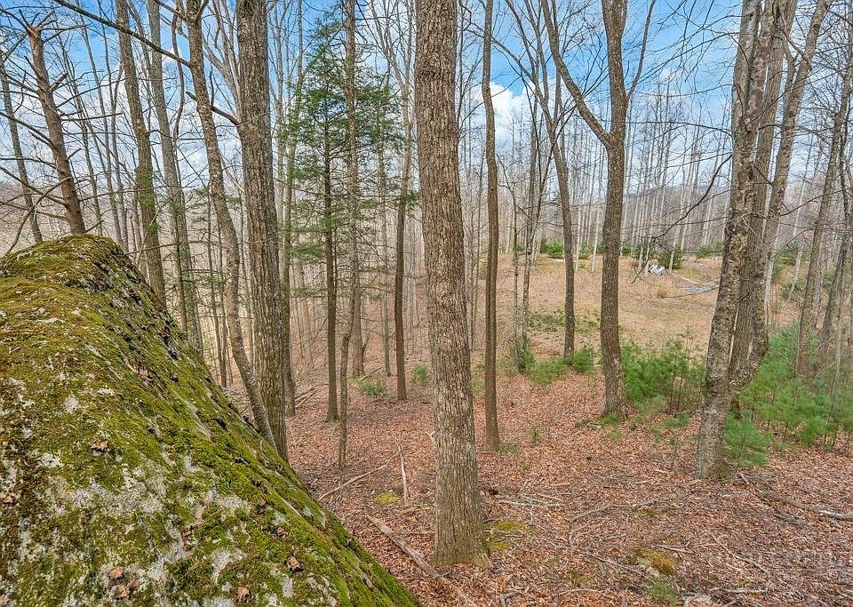 1st image of TBD Denney Wood Road