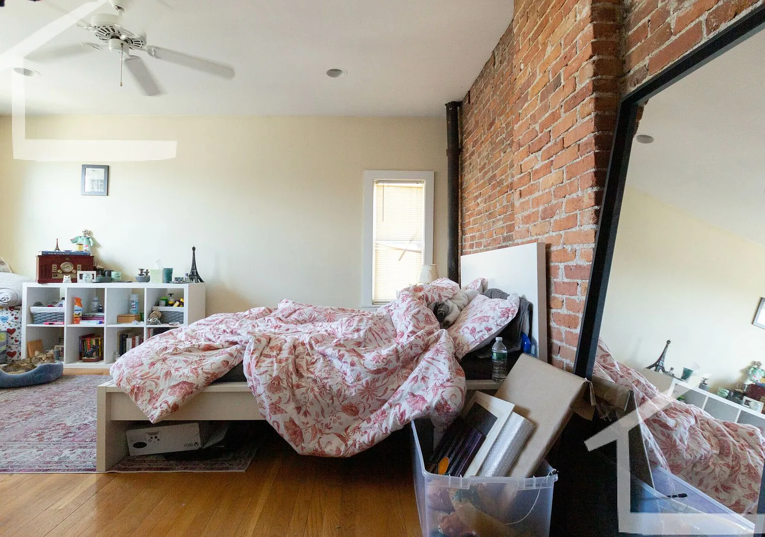 NO FEE! Amazing Home with 3 full Baths and Laundry in Unit! Cat Friendly, Parking Available — Photo 2