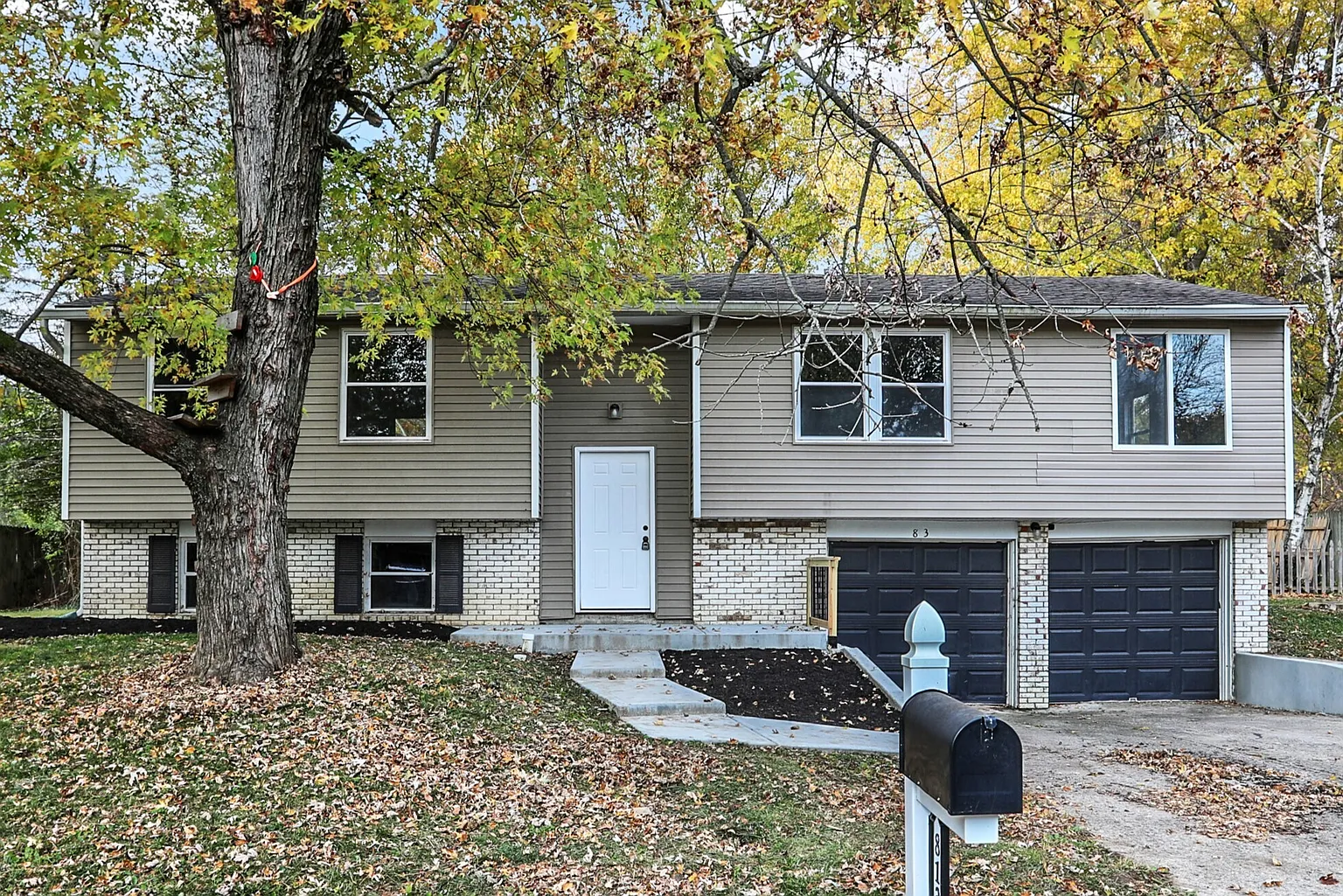 8138 Palmetto Ln photo 1