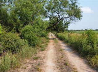 0 NE Caballo Ln, Edinburg, TX 78542