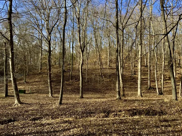 0 Forrest Xing #36, Waverly, TN 37185