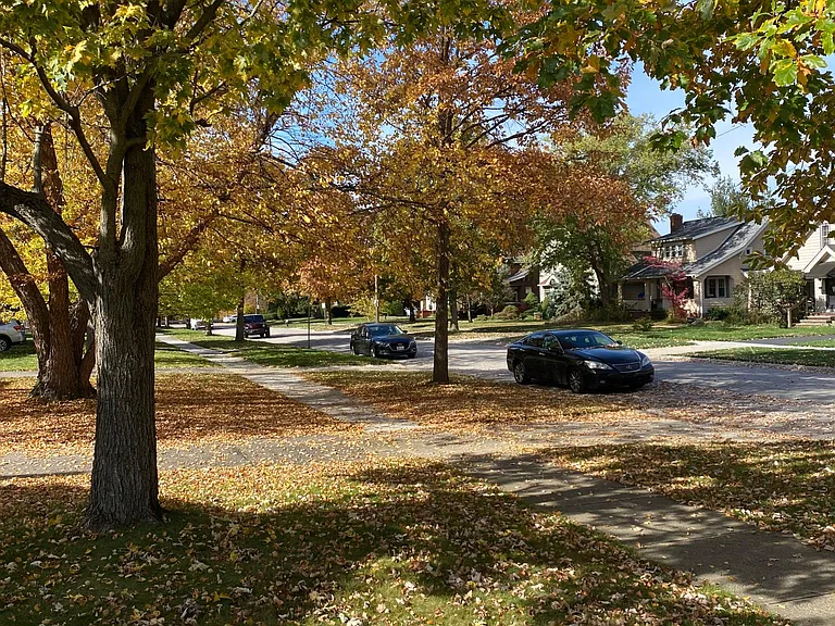 17803 Lakewood Heights Blvd — Photo 24