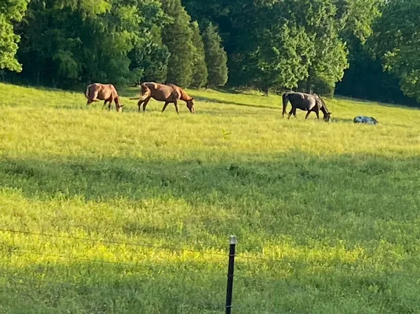 832 W Dry Hollow Rd, Dickson, TN 37055