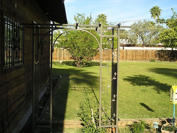 back yard