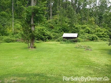 Green and historic out buildings
						:
						Peace and quiet with acreage to spare