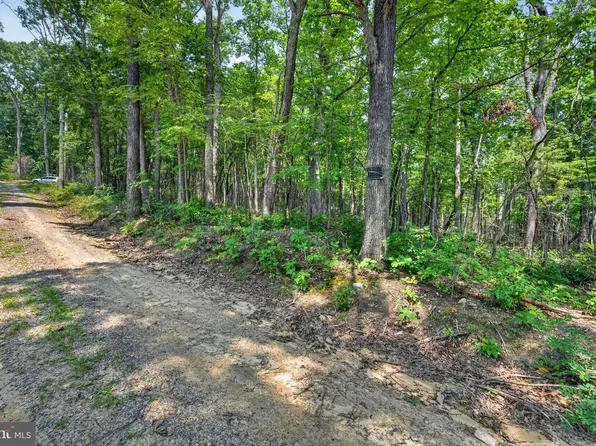 Indian Trail Rd, Luray, VA 22835