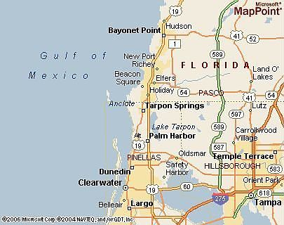 AREAL MAP OD TARPON