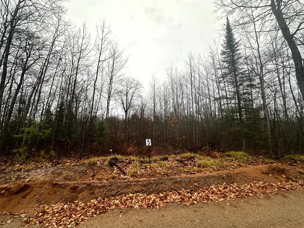 LOT 5 Cth B, Land O Lakes, WI 54540