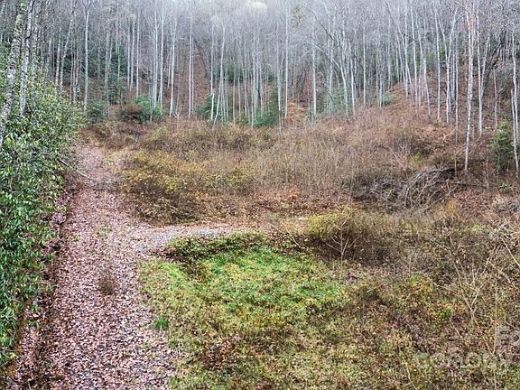 5th image of 1182 Tunnel Mountain Rd