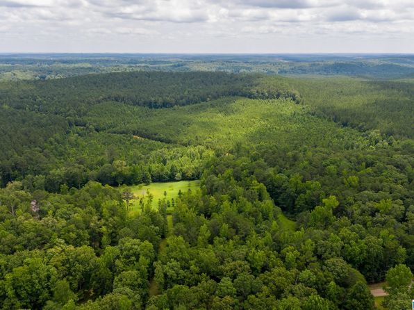 0 Calhoun Rd #0, Mc Calla, AL 35111