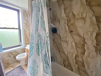 Rented by Highline Residential