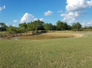 1017 County Road 170, Rising Star, TX 76471