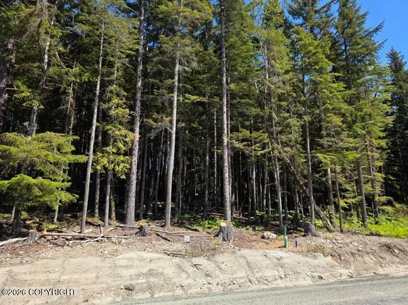 LOT 34 Martin Ave, Haines, AK 99827