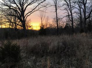 260 Shoreline Pass, Forsyth, MO 65653