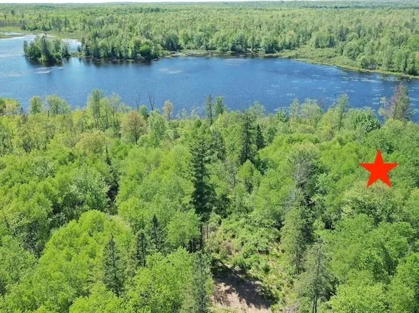 4741N Western Breeze Road, Ojibwa, WI 54896
