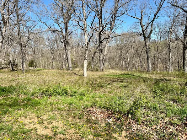 Lots 4&5 County Rd 242 Loop, Wheatland, MO 65779