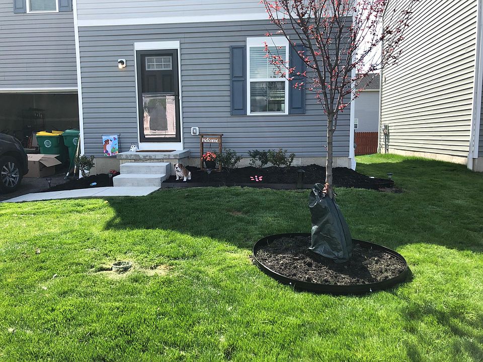 1st image of 12 Stelle St
