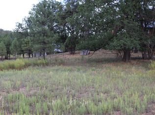 5523 Turkey Run, Pinedale, AZ 85934