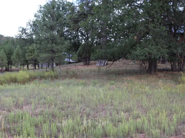 5523 Turkey Run, Pinedale, AZ 85934