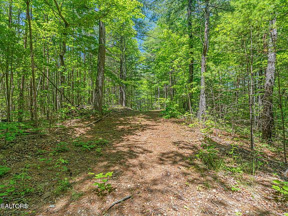 38th image of 2380 Rafter Rd