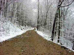 113 Apalachee Way, Roan Mountain, TN 37687