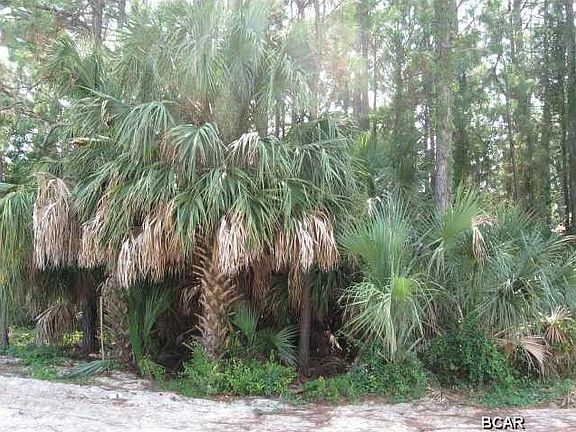 5th image of 8107 S Lagoon Dr