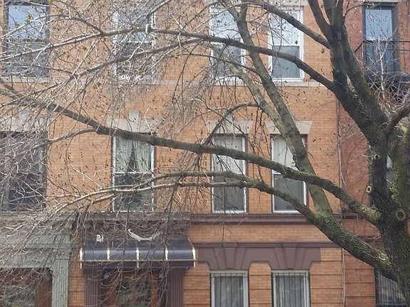 3rd image of 466 Prospect Pl #building