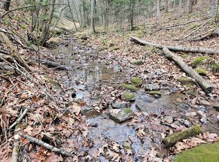 0 Pines Rd, Monterey, VA 24465