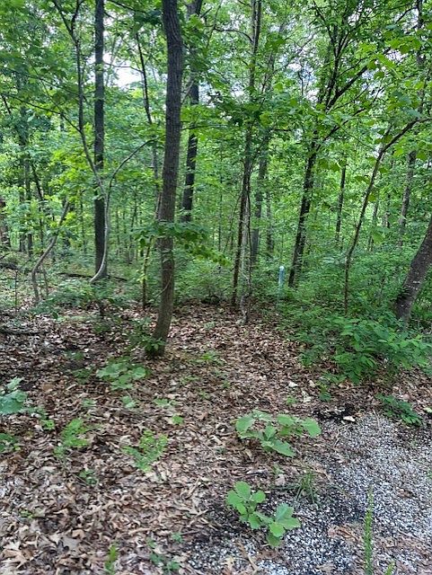 1st image of Eston Ln #9