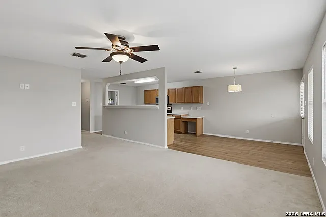 25537 Gold Yarrow — Photo 25