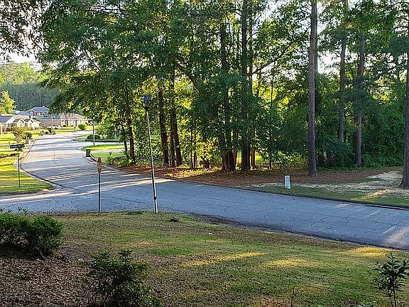 Pretty view from front yard 