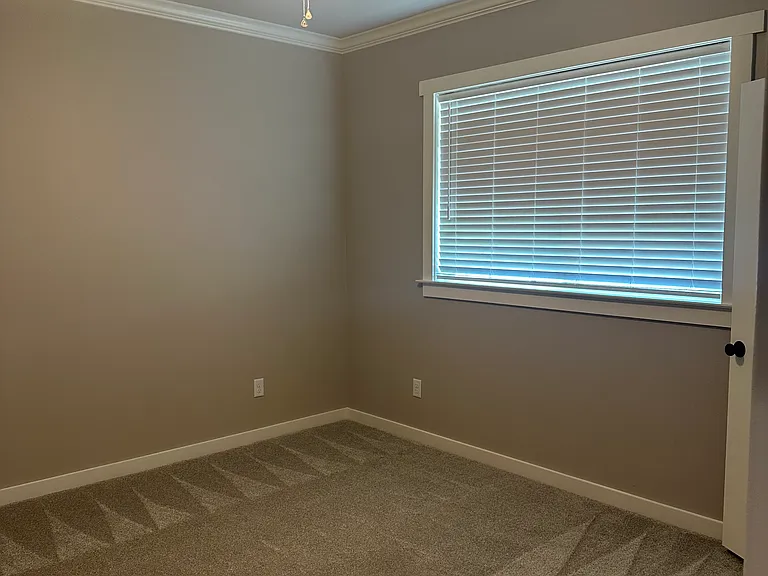 5038 Shefflera Dr — Photo 20