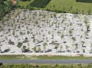 Paul McMillian Rd TRACT 4, Deridder, LA 70634