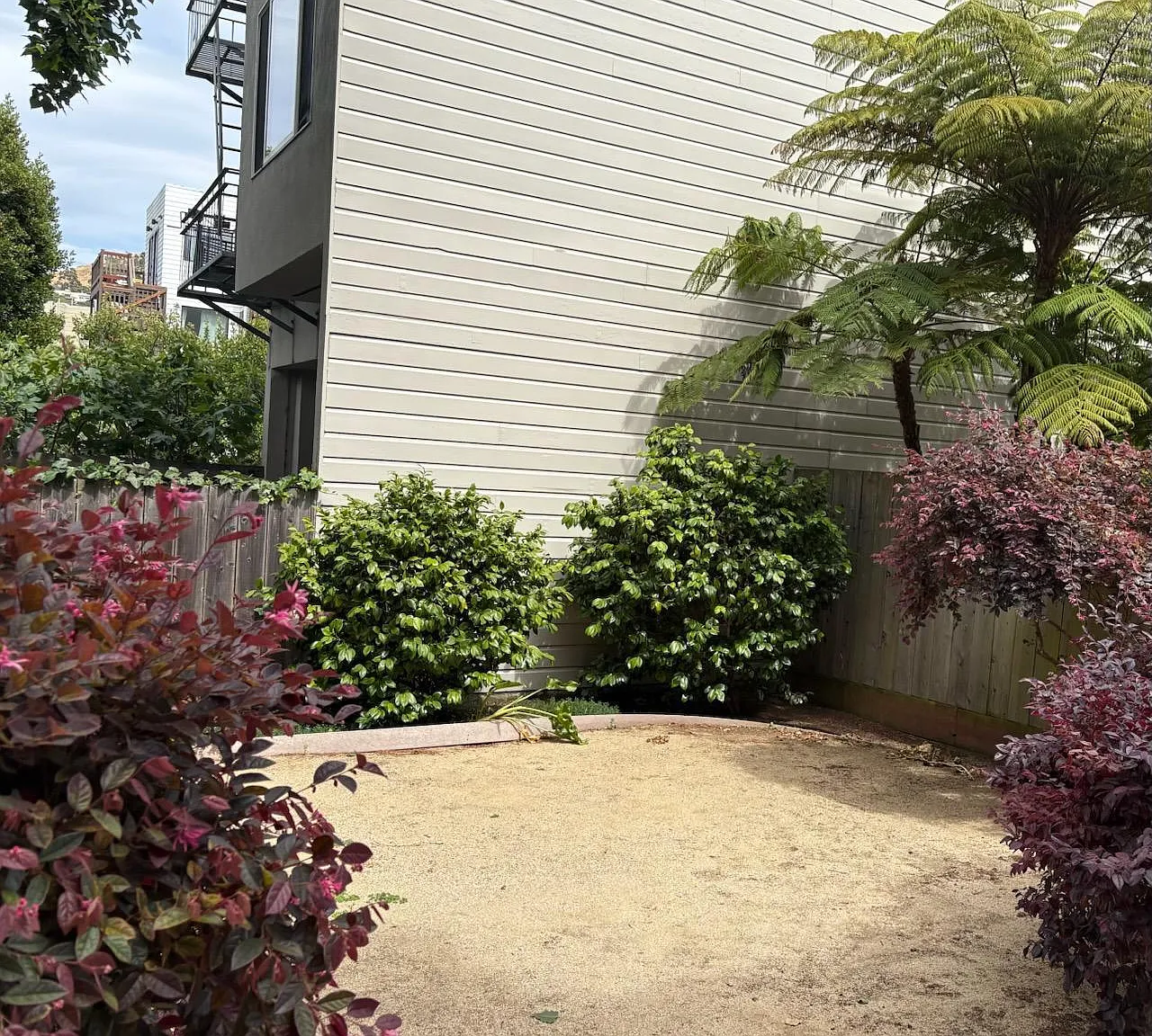 1629 Dolores St APT 3 - Photo 11